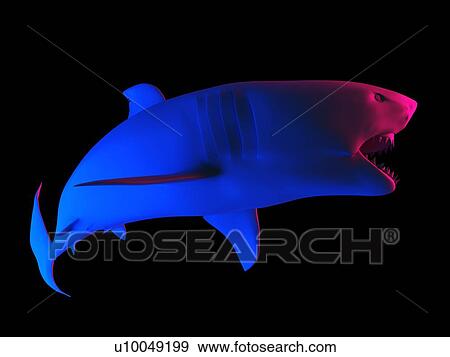 Stock Photo - Shark, computer illustration.. Fotosearch
