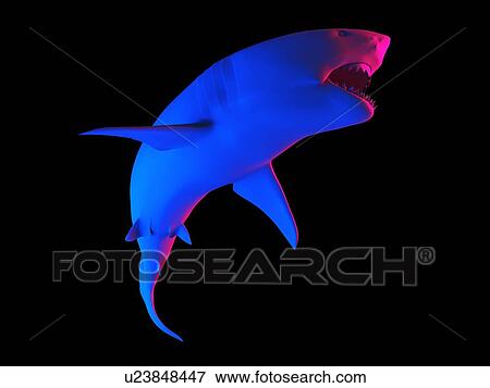 Stock Photo - Shark, computer illustration.. Fotosearch