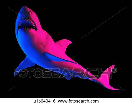 Stock Photograph - Shark, computer illustration.. Fotosearch