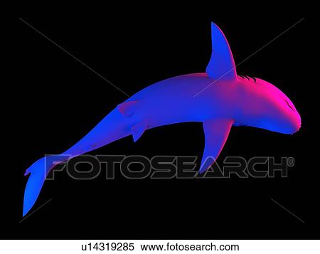 Stock Photography - Shark, computer illustration.. Fotosearch
