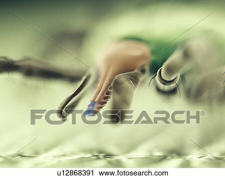 Tick, computer illustration. View Large Photo Image Stock Image - Tick, computer illustration.. Fotosearch