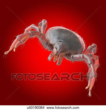 Picture - Tick, illustration. Fotosearch