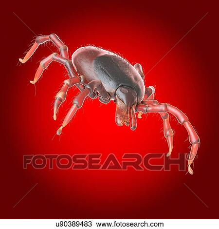 Stock Image - Tick, illustration. Fotosearch