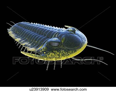 Stock Photo - Trilobite, computer illustration.. Fotosearch