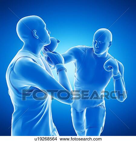 Picture - Two men boxing, computer illustration.. Fotosearch