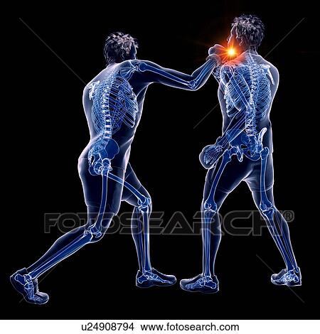 Picture - Two men boxing, computer illustration.. Fotosearch