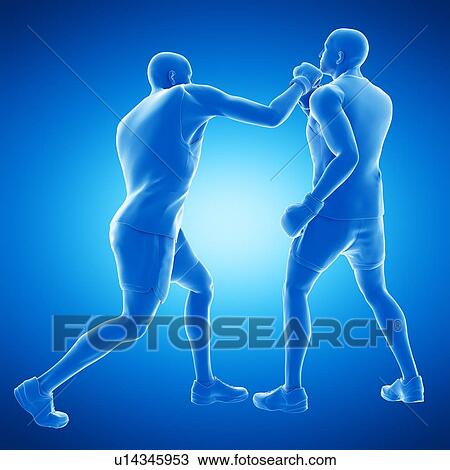 Two men boxing, computer illustration. View Large Photo Image Stock Image - Two men boxing, computer illustration.. Fotosearch