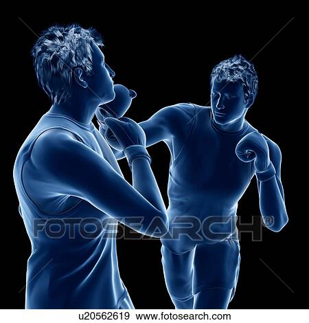 Stock Photo - Two men boxing, computer illustration.. Fotosearch