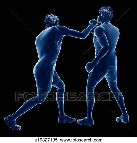 Two men boxing, computer illustration. View Large Photo Image Stock Photography - Two men boxing, computer illustration.. Fotosearch