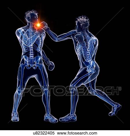 Two men boxing, computer illustration. View Large Photo Image Stock Photography - Two men boxing, computer illustration.. Fotosearch
