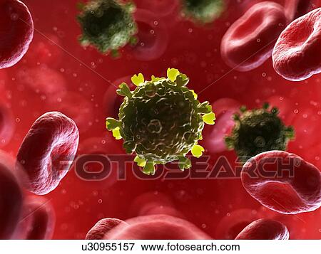 Stock Photo - Virus in human blood, illustration. Fotosearch