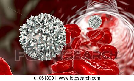 White blood cell with red blood cells, computer illustration. White blood cells (leucocytes) are rounded cells with microvilli projections from the cell surface. These microvilli may assist in cell motility. Lymphocytes are involved in the immune... View Large Photo Image Stock Image - White blood cell with red blood cells, computer illustration. White blood cells (leucocytes) are rounded cells with microvilli projections from the cell surface. These microvilli may assist in cell motility. Lymphocytes are involved in the immune.... Fotosearch