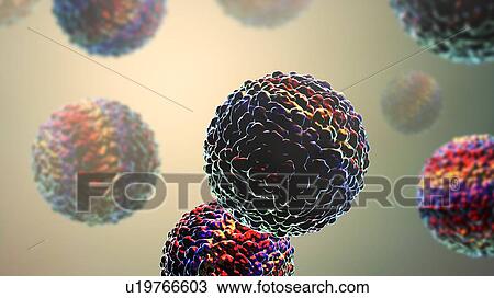 Stock Image - Zika viruses, computer illustration. This is an RNA (ribonucleic acid) virus from the Flaviviridae family. It is transmitted to humans via the bite of an infected Aedes sp. mosquito. It causes zika fever, a mild disease with symptoms including rash,.... Fotosearch