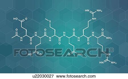 Acetyl hexapeptide-3 molecule, illustration View Large Photo Image Stock Photo - Acetyl hexapeptide-3 molecule, illustration. Fotosearch
