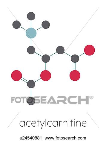 Acetylcarnitine nutritional supplement molecule View Large Photo Image Stock Image - Acetylcarnitine nutritional supplement molecule. Fotosearch
