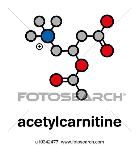 Stock Photo - Acetylcarnitine nutritional supplement molecule. Fotosearch