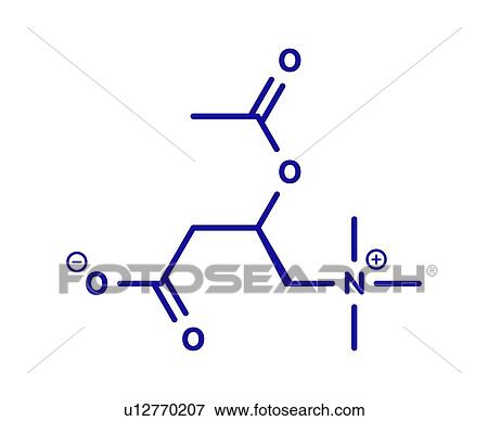 Acetylcarnitine nutritional supplement molecule View Large Photo Image Stock Photo - Acetylcarnitine nutritional supplement molecule. Fotosearch