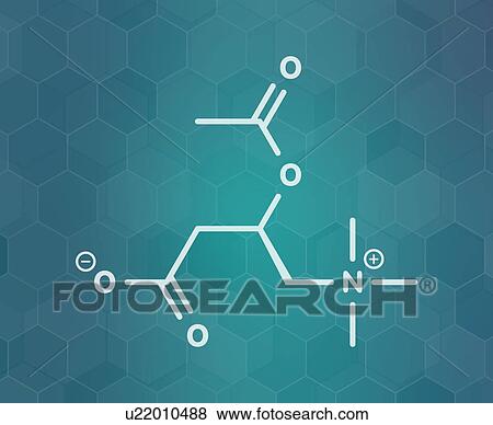 Acetylcarnitine nutritional supplement molecule View Large Photo Image Stock Photo - Acetylcarnitine nutritional supplement molecule. Fotosearch
