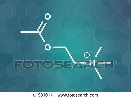 Stock Image - Acetylchloline neurotransmitter molecule, illustration. Fotosearch