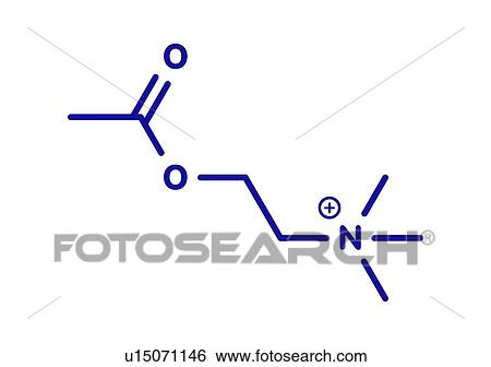 Stock Photograph - Acetylchloline neurotransmitter molecule, illustration. Fotosearch