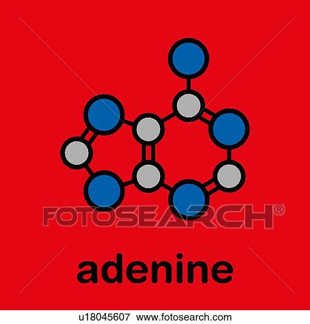 Stock Photo - Adenine purine nucleobase molecule, illustration. Fotosearch