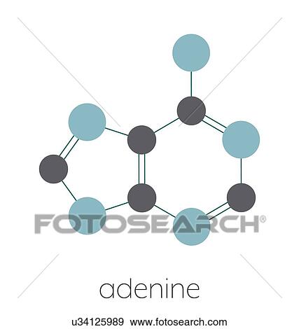 Stock Photo - Adenine purine nucleobase molecule, illustration. Fotosearch