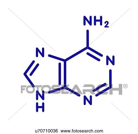 Adenine purine nucleobase molecule, illustration View Large Photo Image Stock Photograph - Adenine purine nucleobase molecule, illustration. Fotosearch