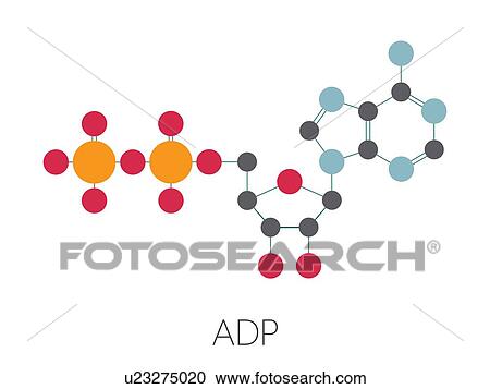 Stock Image - Adenosine diphosphate molecule, illustration. Fotosearch