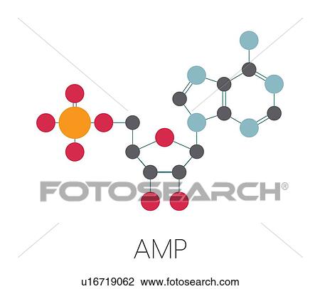 Adenosine monophosphate molecule View Large Photo Image Stock Image - Adenosine monophosphate molecule. Fotosearch