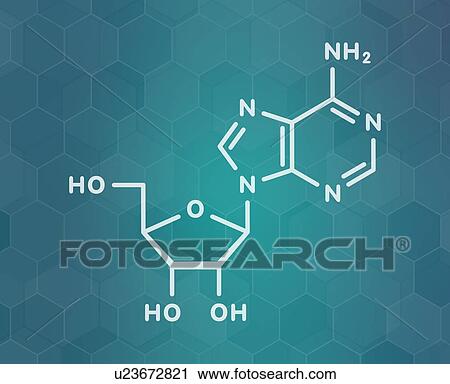 Adenosine purine nucleoside molecule, illustration View Large Photo Image Stock Image - Adenosine purine nucleoside molecule, illustration. Fotosearch