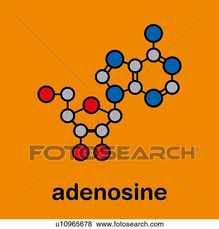 Adenosine purine nucleoside molecule, illustration View Large Photo Image Stock Photo - Adenosine purine nucleoside molecule, illustration. Fotosearch