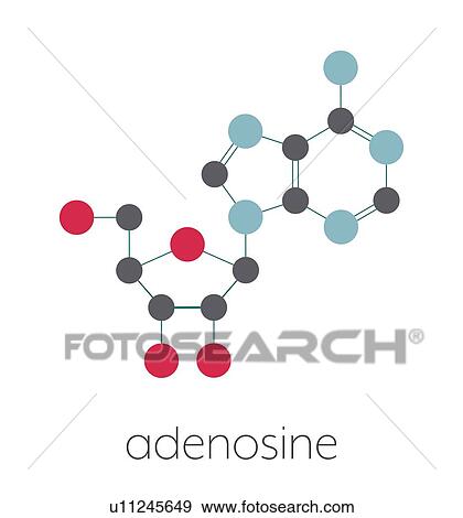 Stock Photo - Adenosine purine nucleoside molecule, illustration. Fotosearch