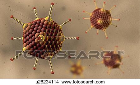 Adenovirus particles, illustration View Large Photo Image Picture - Adenovirus particles, illustration. Fotosearch