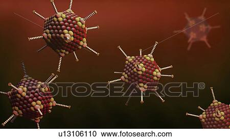 Stock Image - Adenovirus particles, illustration. Fotosearch