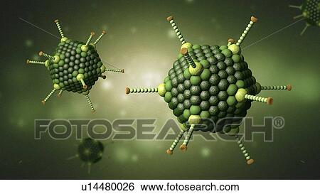Stock Photograph - Adenovirus particles, illustration. Fotosearch
