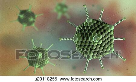 Stock Photography - Adenovirus particles, illustration. Fotosearch