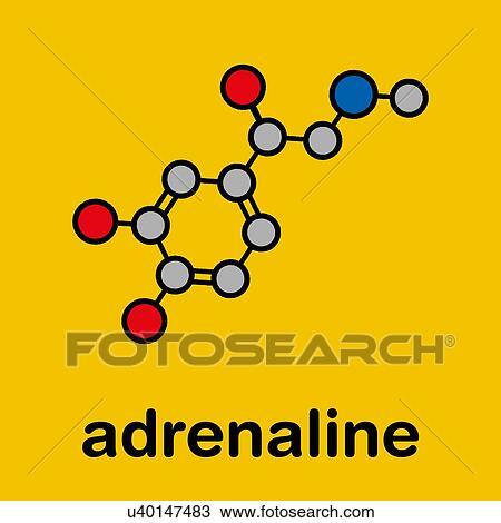 Adrenaline neurotransmitter molecule, illustration View Large Photo Image Stock Image - Adrenaline neurotransmitter molecule, illustration. Fotosearch