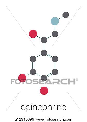 Stock Photo - Adrenaline neurotransmitter molecule, illustration. Fotosearch