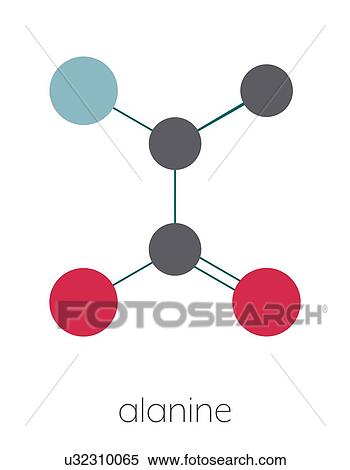 Stock Photography - Alanine amino acid molecule, illustration. Fotosearch