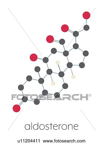 Stock Image - Aldosterone mineralocorticoid hormone, illustration. Fotosearch