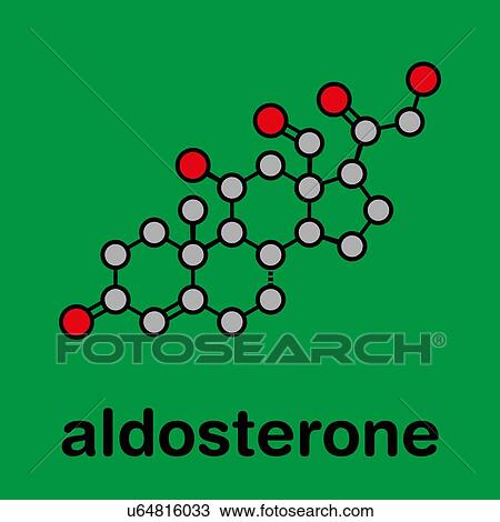 Aldosterone mineralocorticoid hormone, illustration View Large Photo Image Stock Image - Aldosterone mineralocorticoid hormone, illustration. Fotosearch