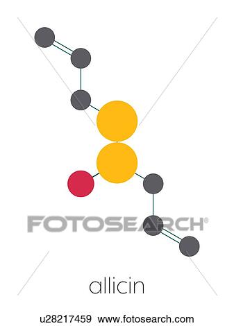 Stock Photo - Allicin garlic molecule, illustration. Fotosearch