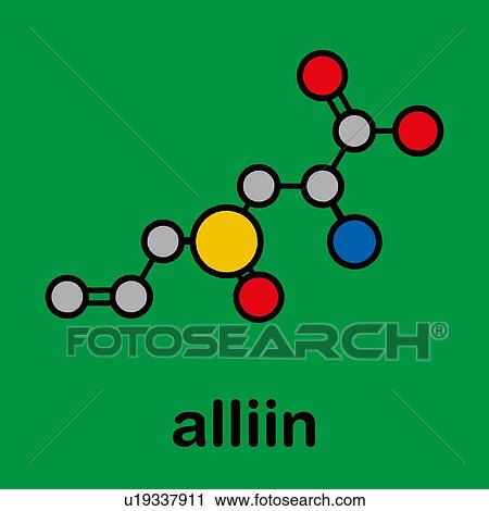Stock Image - Alliin garlic molecule, illustration. Fotosearch
