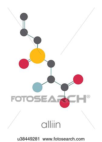 Stock Image - Alliin garlic molecule, illustration. Fotosearch