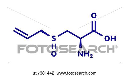 Alliin garlic molecule, illustration View Large Photo Image Stock Image - Alliin garlic molecule, illustration. Fotosearch