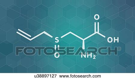 Alliin garlic molecule, illustration View Large Photo Image Stock Photo - Alliin garlic molecule, illustration. Fotosearch
