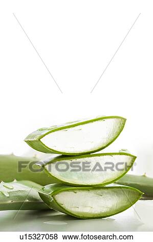 Stock Photo - Aloe vera. Fotosearch