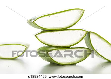 Stock Photograph - Aloe vera. Fotosearch