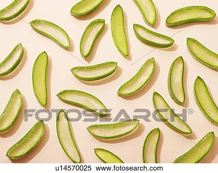 Aloe vera View Large Photo Image Stock Photography - Aloe vera. Fotosearch