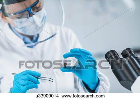 Picture - Ancient DNA scientist working in bio archaeology lab. Fotosearch
